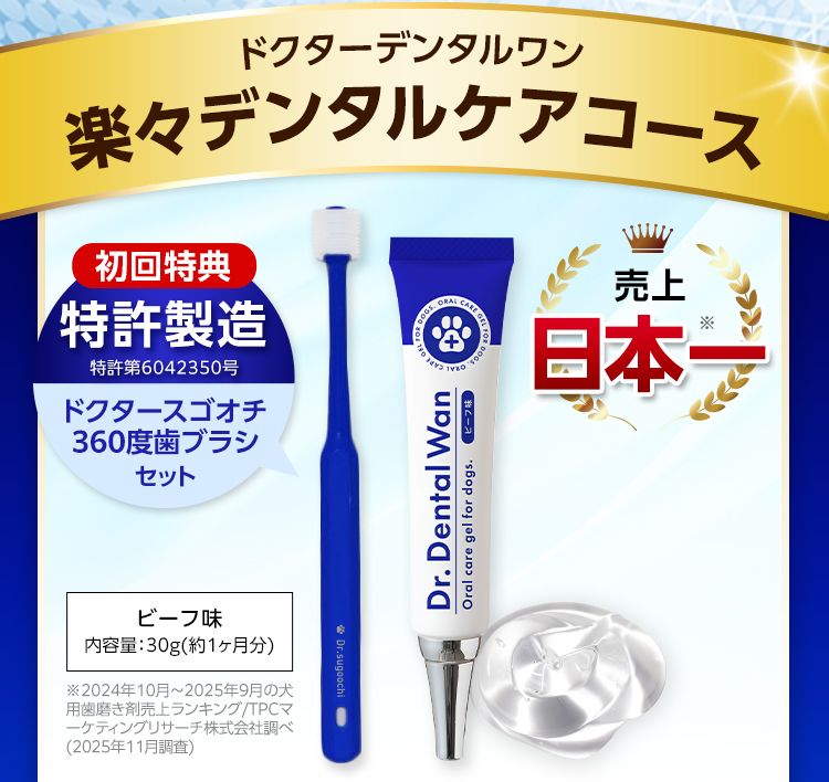 ドクターデンタルワン｜サンテミナ