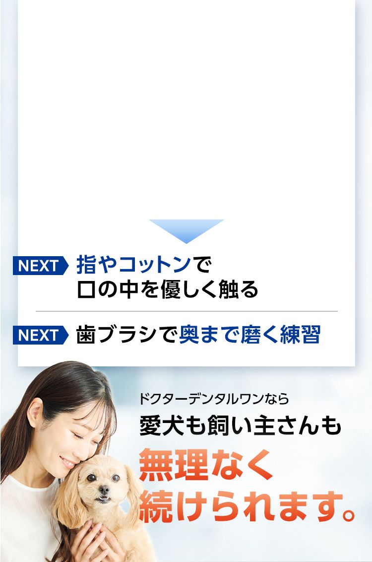 ドクターデンタルワン｜サンテミナ