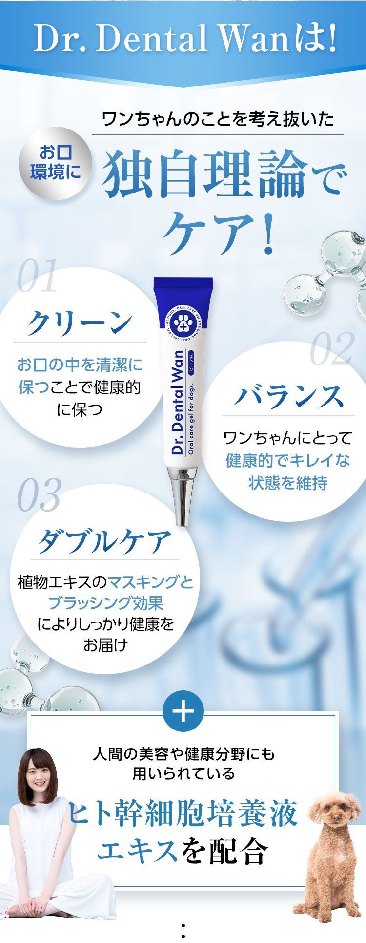 ドクターデンタルワン｜サンテミナ