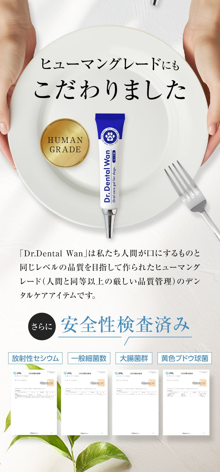 新品未使用未開封サンテミナD r.dental wan4本セット ドクターデンタルワン｜サンテミナ