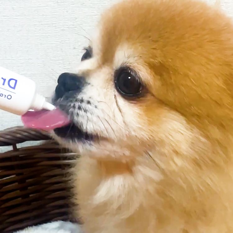 ドクターデンタルワン｜サンテミナ