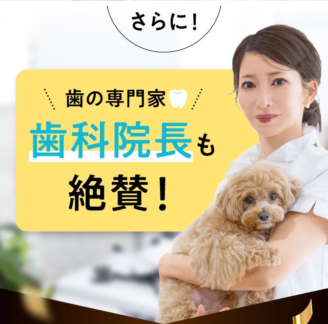 ドクターデンタルワン｜サンテミナ