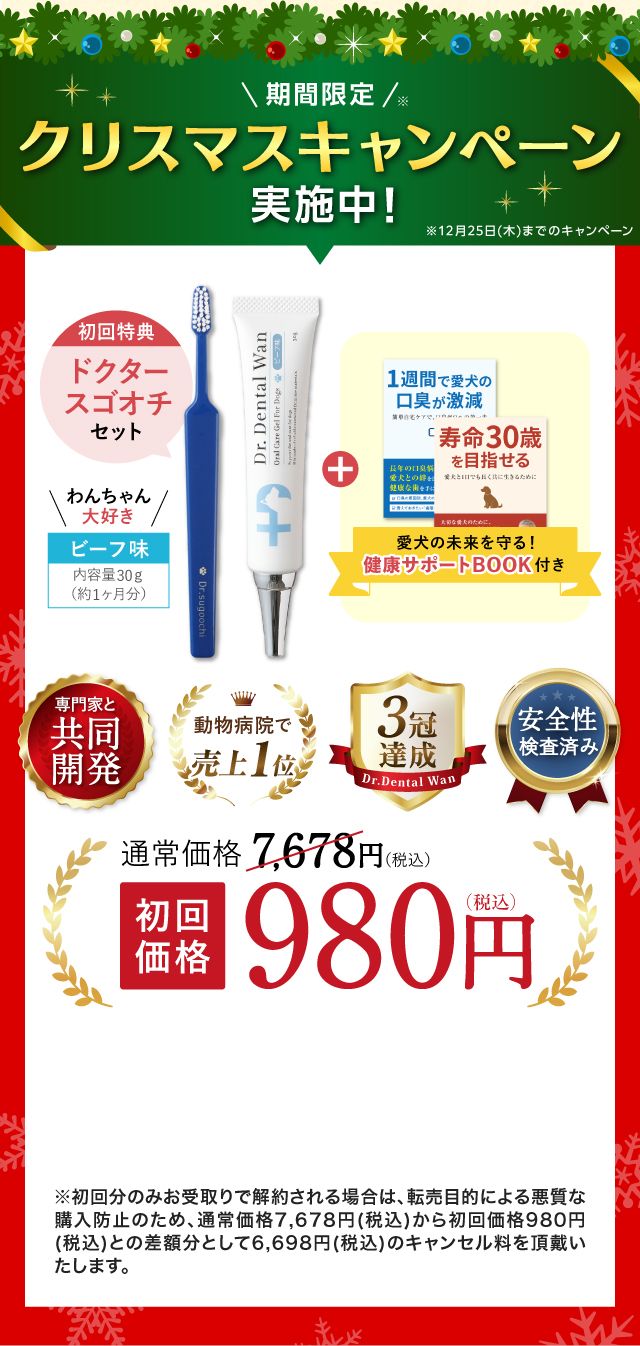 ドクターデンタルワン｜サンテミナ