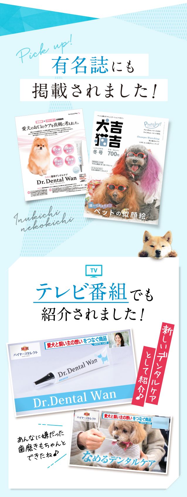 ドクターデンタルワン｜サンテミナ